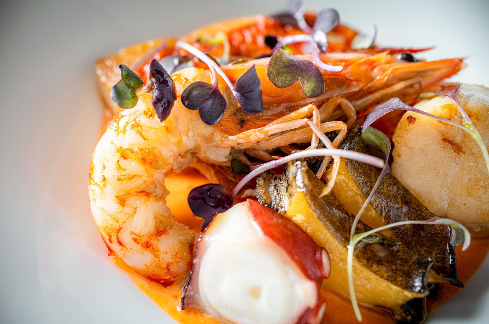 ディナーメニュー写真