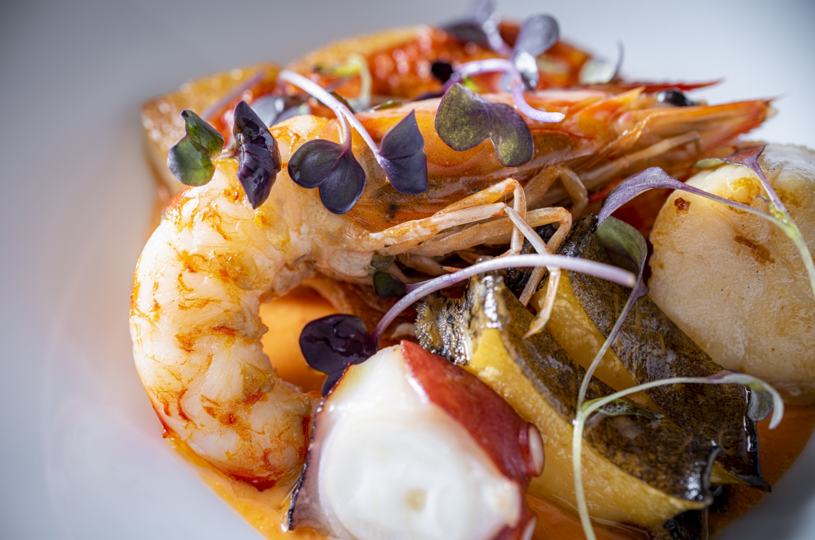 ランチメニュー写真